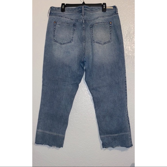 Pilcro & The Letterpress. Boyfriend High Rise Jean - Picture 3 of 12